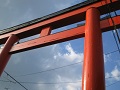 Kyoto Imamiya Jinja